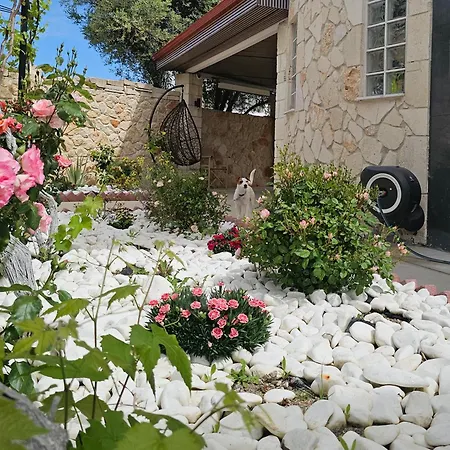 Maisonette For Rent In The Center Of